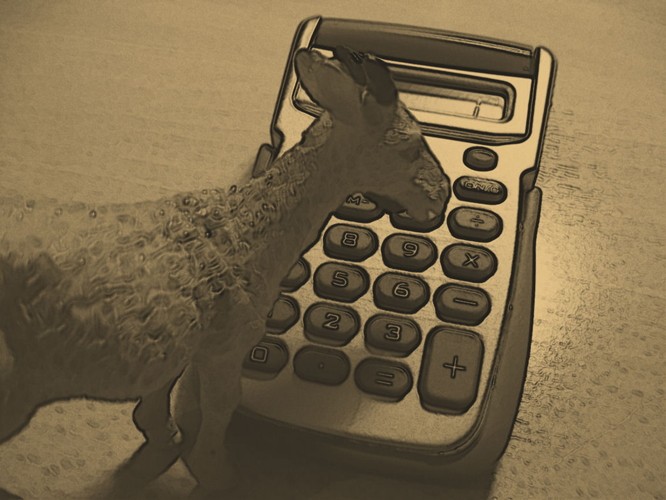 011_koza_a_kalkulacka