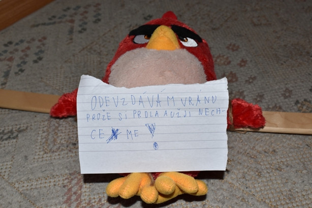 cvdo_17
